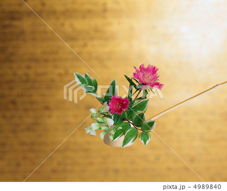 装いの花たち 4989840