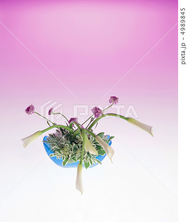 装いの花たち 4989845