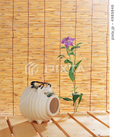 装いの花たち 4989846