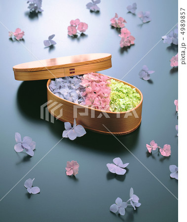 装いの花たち 4989857