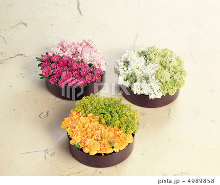 装いの花たち 4989858