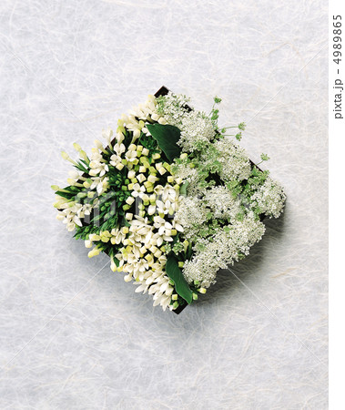 装いの花たち 4989865