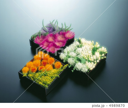 装いの花たち 4989870