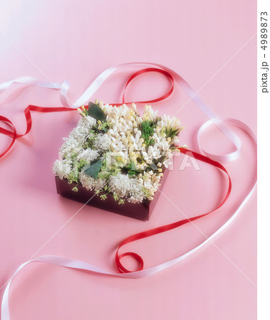 装いの花たち 4989873