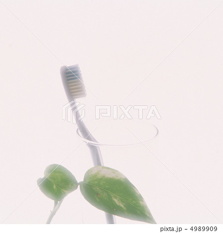 快適雑貨 4989909