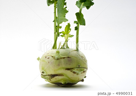 コールラビ 4990031