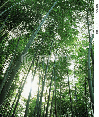 京情趣展景 京情趣展景 4990680