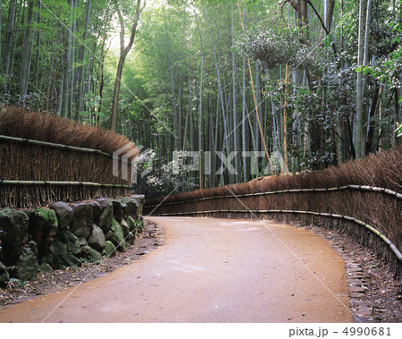 京情趣展景 4990681