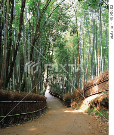 京情趣展景 4990682