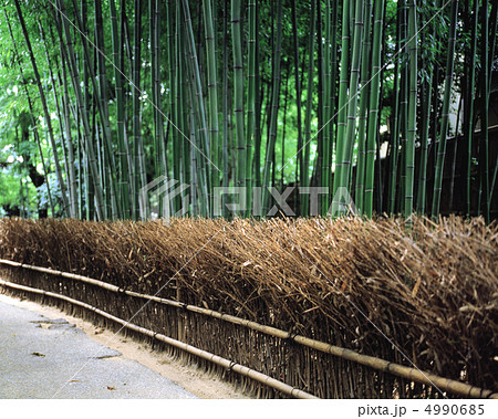 京情趣展景 京情趣展景 4990685