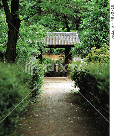 京情趣展景 4990719