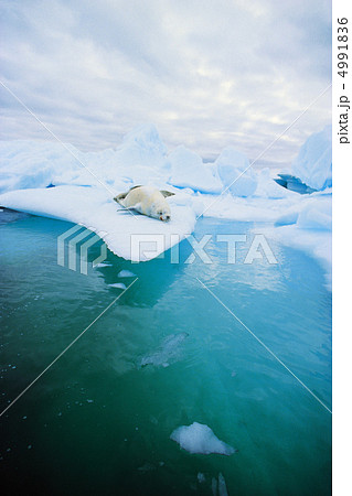 極寒の国で 極寒の国で 4991836