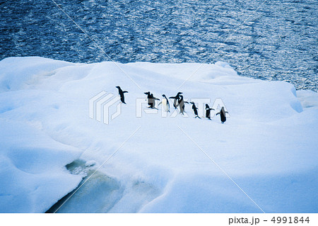 極寒の国で 4991844