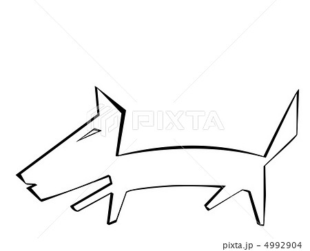 Dog on a white background Dog on a white background 4992904