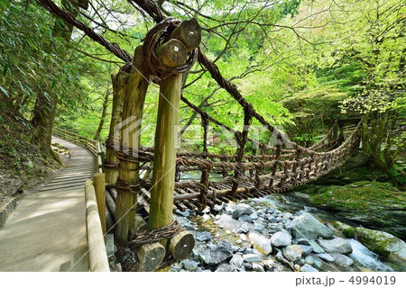 奥祖谷かずら橋 4994019