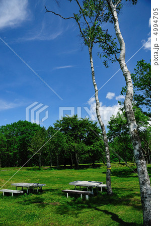 戸隠高原 4994705