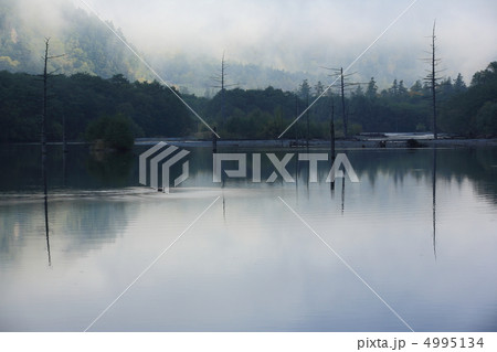 上高地大正池 4995134