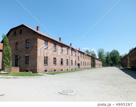 アウシュビッツ 4995267