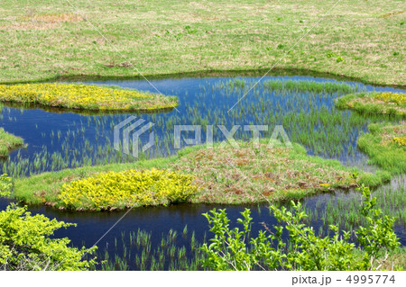 長野　下諏訪町　八島湿原 4995774