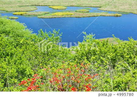 長野　下諏訪町　八島湿原 4995780