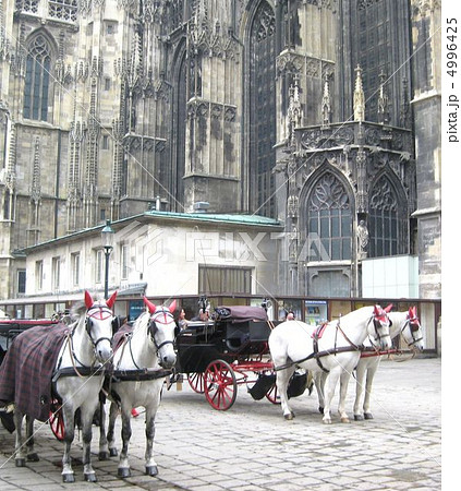 ウィーン シュテファン寺院前広場 ウィーン シュテファン寺院前広場 4996425