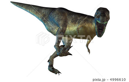 T-REX☆ティラノサウルス 4996610