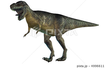 T-REX☆ティラノサウルス 4996611