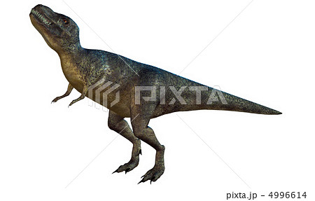 T-REX☆ティラノサウルス 4996614