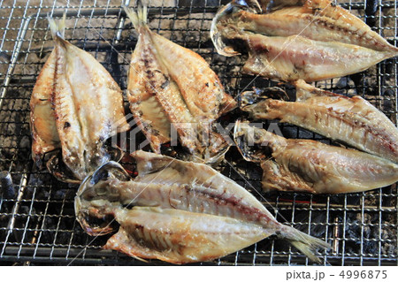 アジ　焼き魚 4996875
