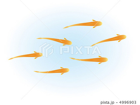 メダカのイラスト素材