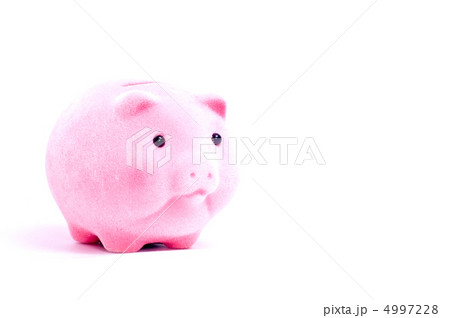 Piggy Bank 4997228