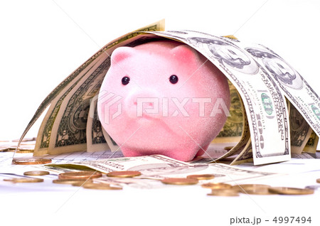 Piggy bank in house from dollars 4997494