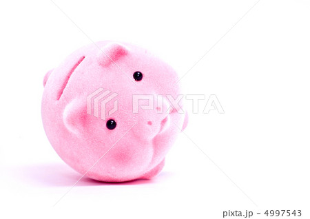 Piggy Bank 4997543