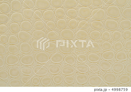 Snake skin 4998759