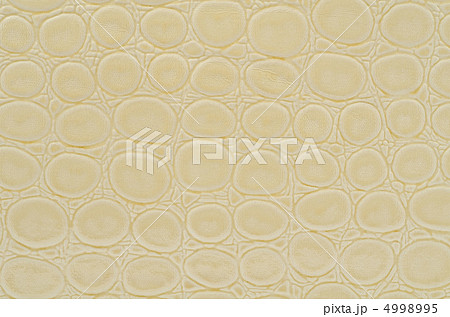 Snake skin Snake skin 4998995