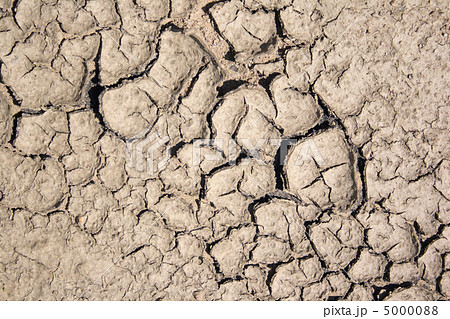 dry background 5000088