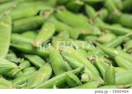 pea background pea background 5000464