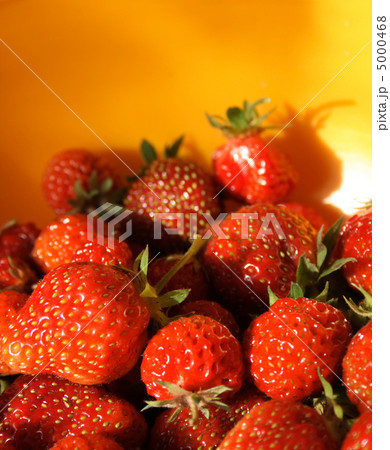 strawberries background strawberries background 5000468