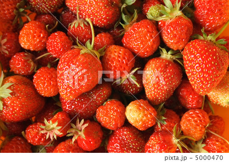 strawberries background strawberries background 5000470