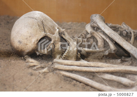human bones 5000827