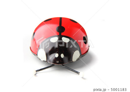 old red ladybird toy 5001183