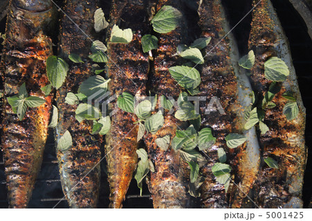 grilled fishes background grilled fishes background 5001425