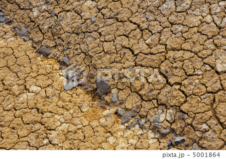 Cracked dry ground texture Cracked dry ground texture 5001864