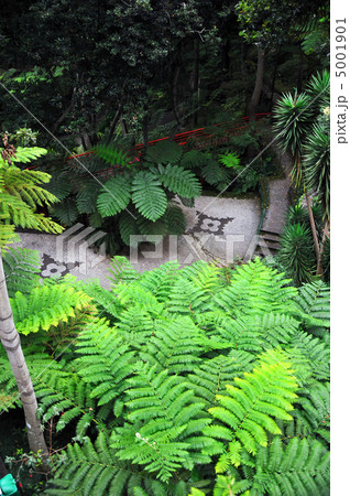 Monte Palace Tropical Garden– Monte, Madeira 5001901