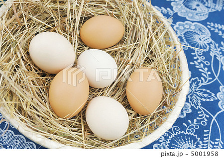 Fresh farm eggs 5001958