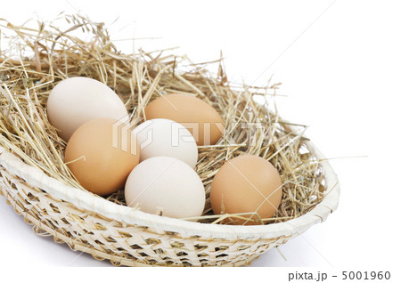 Fresh farm eggs 5001960