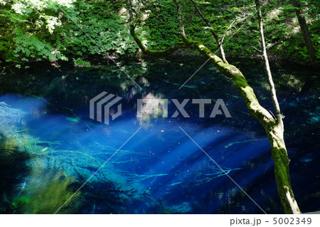 青池 十二湖(青森県) 青池 十二湖(青森県) 5002349