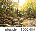 紅葉 5002409