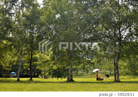 初夏の公園 初夏の公園 5002631