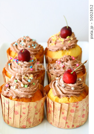 カップケーキ 5002852